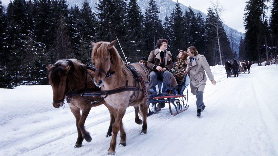 Mit dem Schlitten ging es zum fürstlichen BAMBI-Mahl auf die Schwarzachen-Alm